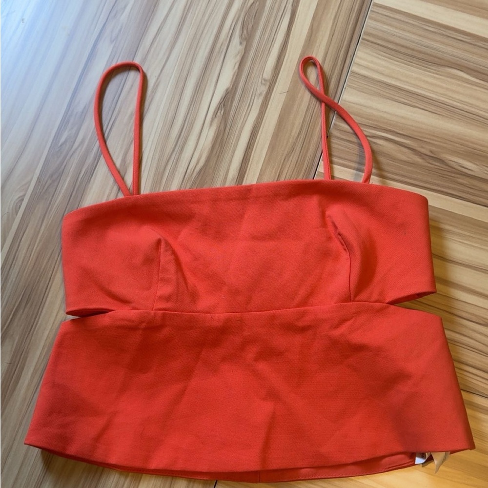 Zara Red Sleeveless Crop Camisole